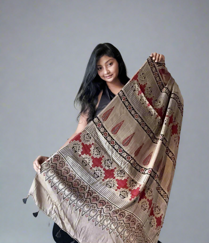 Ajrakh Modal Silk Saree- Abstract Brush effect