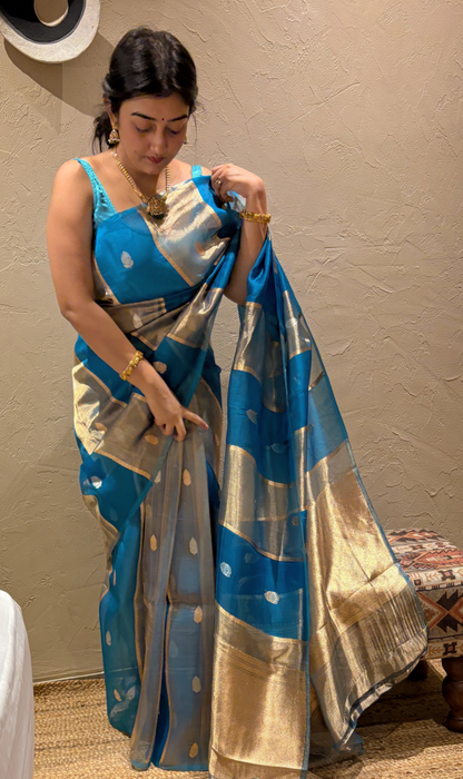 Pure Banarasi Kora Organza- Sky blue