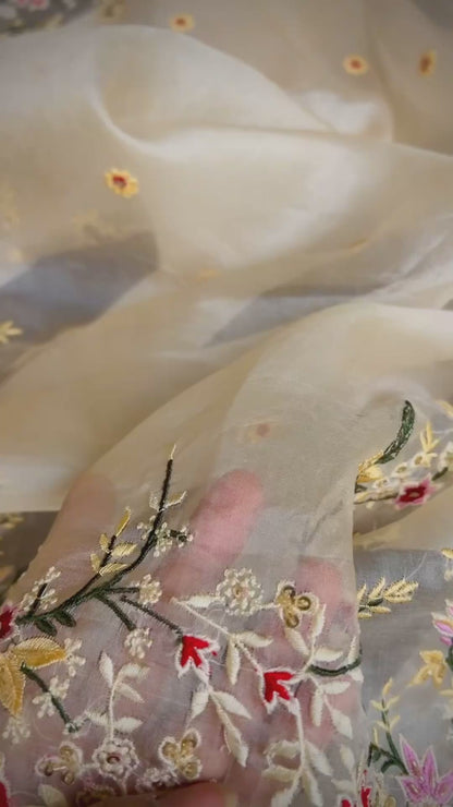 Pure Organza silk floral embroidered with handwork- Cream