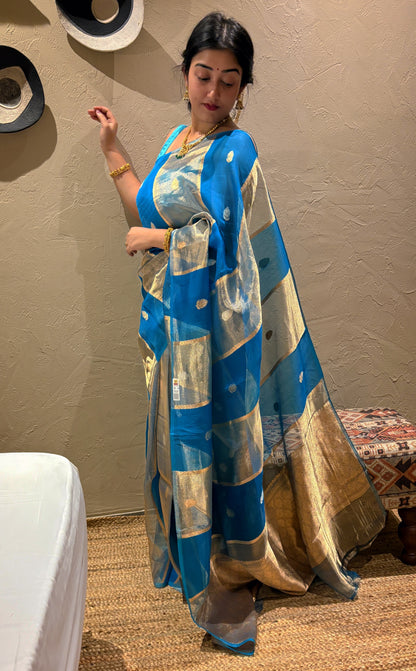 Pure Banarasi Kora Organza- Sky blue
