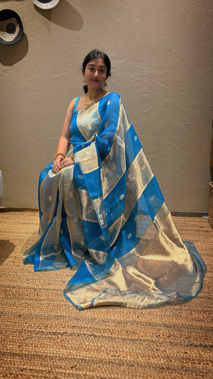 Pure Banarasi Kora Organza- Sky blue