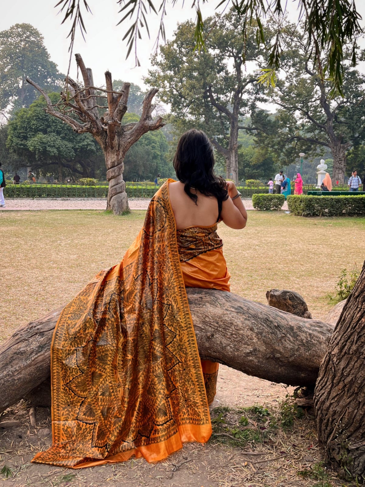 Pure Tussar Silk Saree- Custom Madhubani on Golden