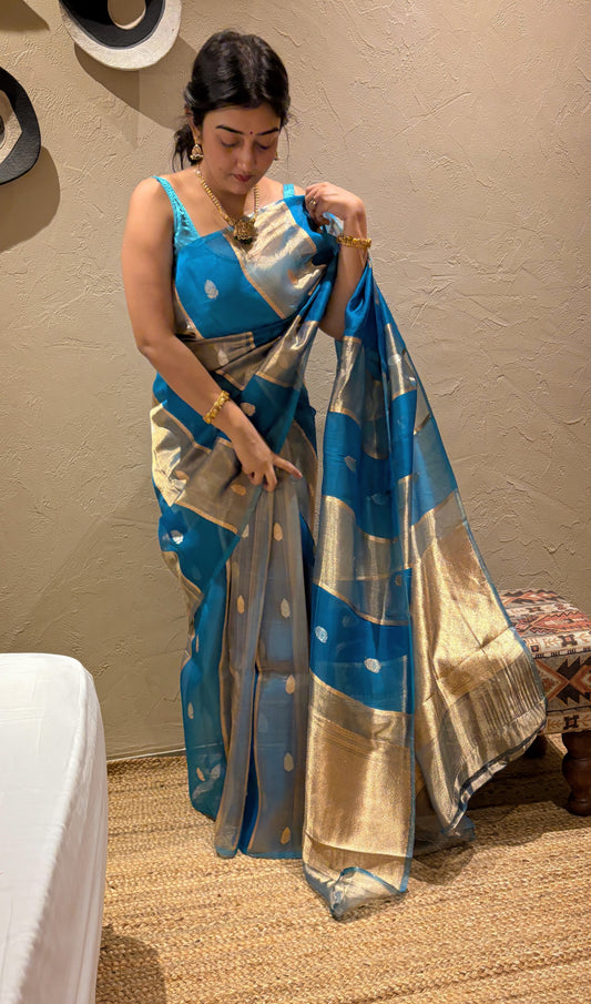 Pure Banarasi Kora Organza- Sky blue